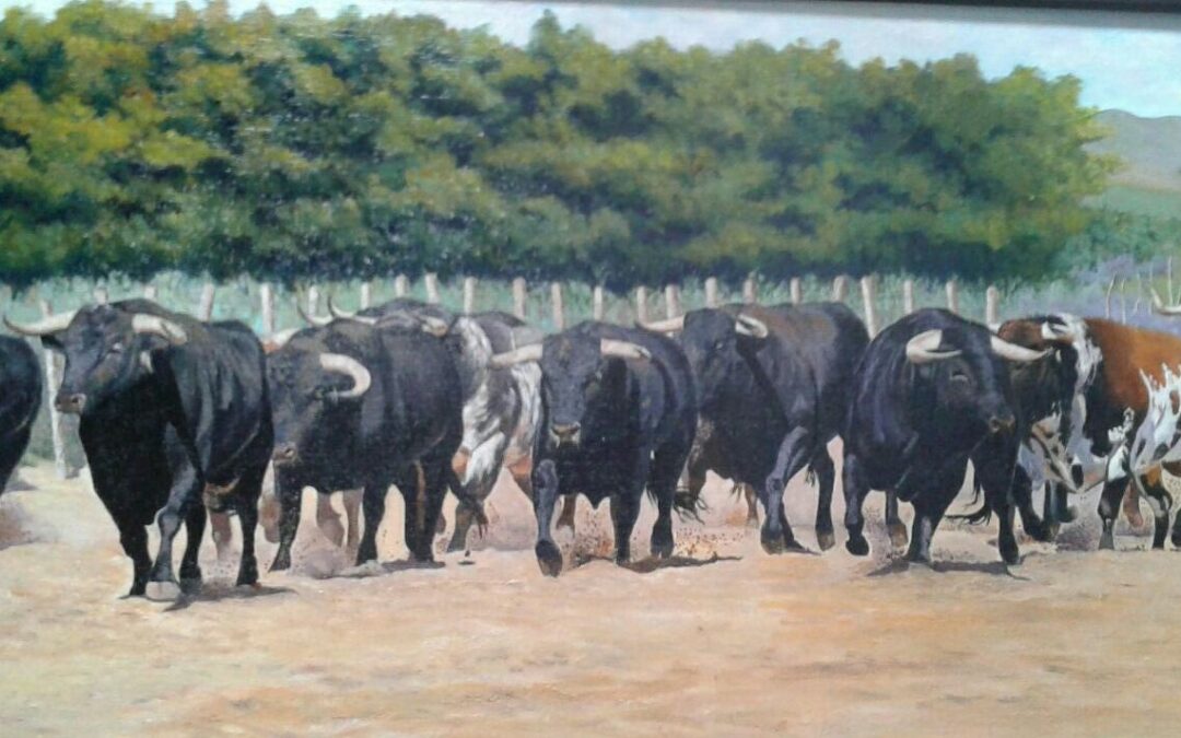 Exposición de pintura EL TORO DE LIDIA EN EL CAMPO, de la que es autor Antonio Vázquez Carballar