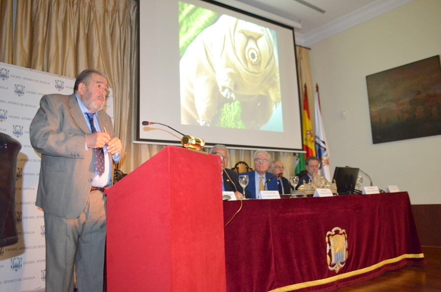 El Sr. Ruiz Berraquer ofreció su ponencia en el Salón de Actos del Ateneo