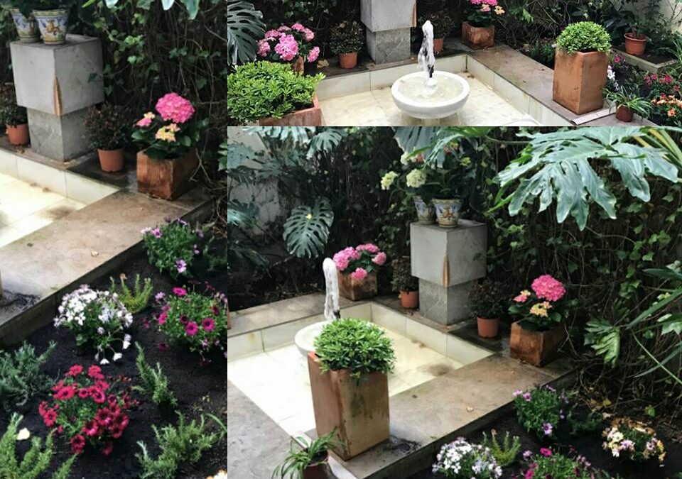 El Patio José María Izquierdo del Ateneo estrena nuevas plantas y nuevo aire para la primavera. Artículo de Ángel Alberto Núñez Moreno, Tesorero del Ateneo