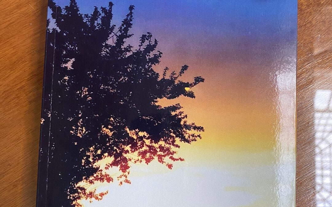 PRESENTACIÓN DEL LIBRO «LADERASECA» DE FLOREN GONZÁLEZ VERGARA