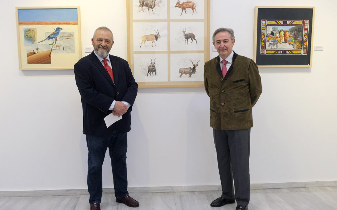 Inauguración Exposición- Mi visión del entorno